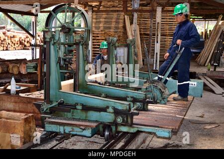 Sägewerk in GRANJA PORCON-Evangelikalen Genossenschaft. Abteilung von Cajamarca PERU Stockfoto