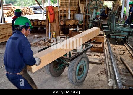 Sägewerk in GRANJA PORCON-Evangelikalen Genossenschaft. Abteilung von Cajamarca PERU Stockfoto