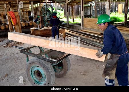 Sägewerk in GRANJA PORCON-Evangelikalen Genossenschaft. Abteilung von Cajamarca PERU Stockfoto