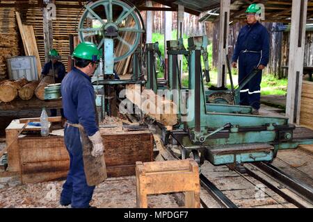 Sägewerk in GRANJA PORCON-Evangelikalen Genossenschaft. Abteilung von Cajamarca PERU Stockfoto