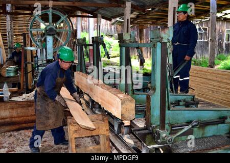 Sägewerk in GRANJA PORCON-Evangelikalen Genossenschaft. Abteilung von Cajamarca PERU Stockfoto