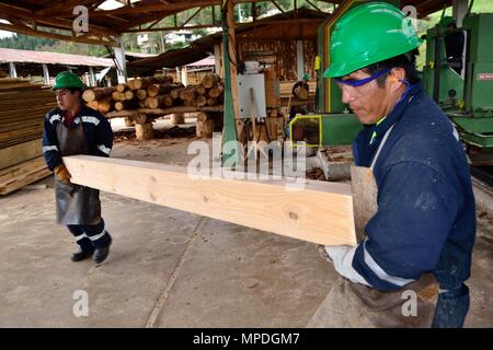 Sägewerk in GRANJA PORCON-Evangelikalen Genossenschaft. Abteilung von Cajamarca PERU Stockfoto