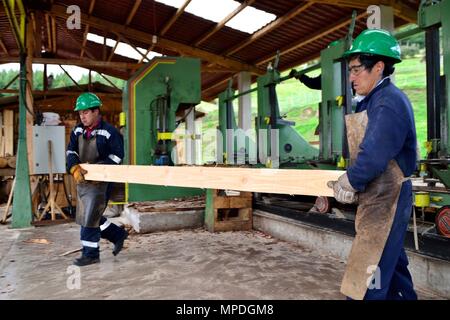 Sägewerk in GRANJA PORCON-Evangelikalen Genossenschaft. Abteilung von Cajamarca PERU Stockfoto