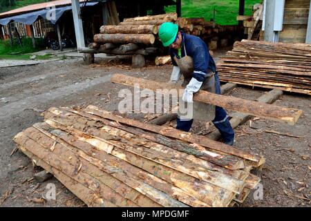 Sägewerk in GRANJA PORCON-Evangelikalen Genossenschaft. Abteilung von Cajamarca PERU Stockfoto