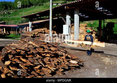 Sägewerk in GRANJA PORCON-Evangelikalen Genossenschaft. Abteilung von Cajamarca PERU Stockfoto