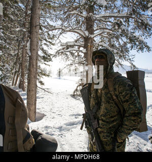 Ein US-Marine mit Sitz und Service Unternehmen, 1 Combat Engineer Battalion (CEB), 1st Marine Division, Wanderungen während der Berg Training Übung (MTX) 2-17 im Marine Corps Mountain warfare Training Center, Bridgeport, Calif., Feb 26, 2017. 1. CEB durchgeführt Szenario-basierte Training, dass Mobilität umfasste, Mobilität und Überlebensfähigkeit in einem Gebirgigen, schneebedeckten enironment, 1. CEB herausgefordert bekämpfen Engineering Lösungen für angetriebene Infanterie Aufgaben zu generieren. Marines vom 7. Techniker Bataillon, 1. Marine Logisitics Gruppe, 2.Bataillon, 11 Marine Stockfoto