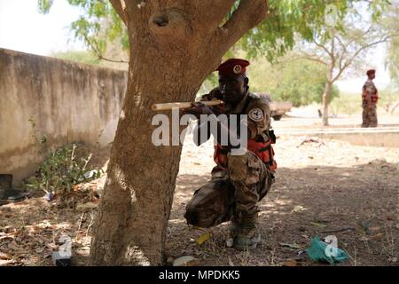 Ein U.S. Army Special Operations Soldat zusammen mit Soldaten aus der tschadischen Armee ziehen Sicherheit während der Ausbildung von Seeleuten auf dem Fluss Chari in N'Djamena, Tschad März 3, 2017 als Teil der Musketen 17. Die tschadische Soldaten wurden simuliert Waffen als Dies ist die erste Phase der Strand infiltration Training. Flintlock ist eine jährliche Übung spezielle Operationen, an denen mehr als 20 nation Kräfte, stärkt Sicherheit Institutionen, fördert den internationalen Austausch von Informationen, und entwickelt die Interoperabilität zwischen den Partnerländern Nation in Nord- und Westafrika. (Armee Foto von Sgt. Derek Hamilton) Stockfoto