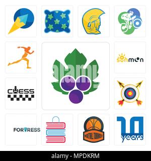 Satz von 13 Einfache editierbare Ikonen wie Weinblätter, 10 Jahr, Basketball Turnier, Buch Shop, Festung, Bogenschießen, Schach, Sun Moon, Running Club können Stock Vektor
