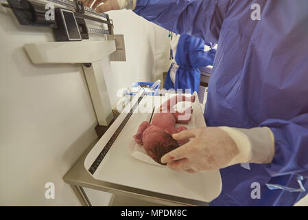 Arzt Gewicht neugeborenes Baby auf Skala im Krankenhaus Hintergrund Stockfoto