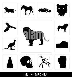 Satz von 13 Einfache editierbare Ikonen wie Lion Übersicht Bilder auf weißem Hintergrund, boxhandschuh Mistel Hintergrund kann für mobile verwendet werden, die Web-UI Stock Vektor