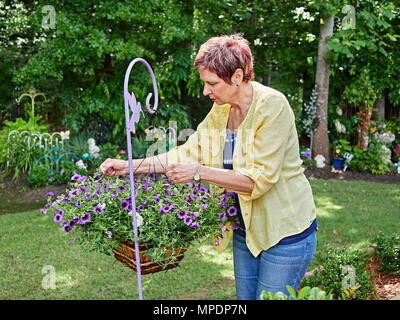 Reife Frau Gärtner zu ihrer farbenfrohen hängende Pflanzen mit lila Blüten neigen, alle Teil von Ihrem Garten. Stockfoto