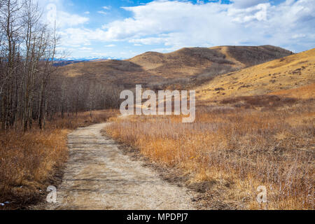 Trail obwohl die schöne Glenbow Ranch Provincial Park in Alberta, Kanada Stockfoto