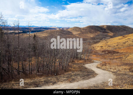 Trail obwohl die schöne Glenbow Ranch Provincial Park in Alberta, Kanada Stockfoto