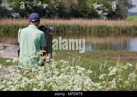 Naturfotograf mit Kappe und Kamera steht hinter Blumen in th Sun Stockfoto