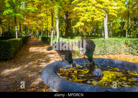 Zwei weibliche Pfauen trinken in einen Brunnen. La Isla Gärten, Aranjuez, Provinz Madrid, Spanien. Stockfoto