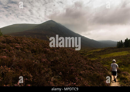 Zu Fuß bis Ben Wyvis, Highlands, Schottland Stockfoto