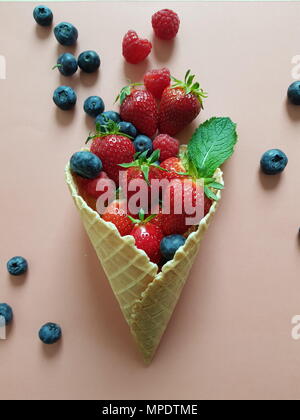 Frisches Obst und Beeren in der Waffel Kegel auf Papier. Flach, Ansicht von oben Stockfoto