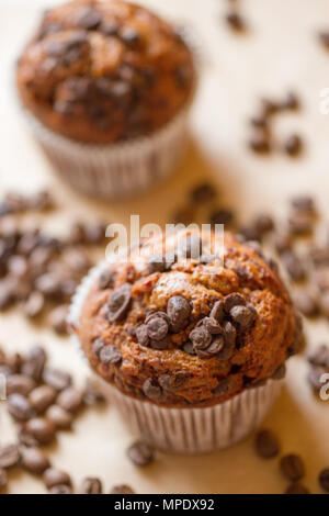 Zwei chocolate Muffins mit Kaffeebohnen Stockfoto