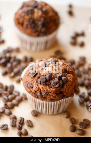 Zwei chocolate Muffins mit Kaffeebohnen Stockfoto