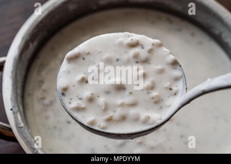 Kalten Joghurt Suppe mit Weizen, der in der Pfanne. Ökologische Lebensmittel. Stockfoto