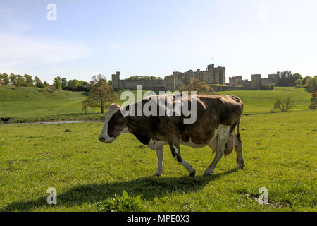 Blick über den Fluss Aln von Alnwick Castle, Northumberland. Stockfoto