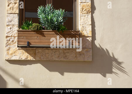 Holz- Topf mit grünen Pflanzen auf einem massiven steinernen Fensterbrett ist ein beige Wall, einer schrägen Schatten aus dem Topf fällt. Stockfoto