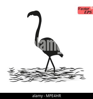 Flamingo zu Fuß im Wasser. flamingo Silhouetten auf dem weißen Hintergrund Stock Vektor