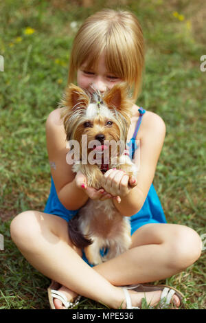 Mädchen 6 Jahre sitzen auf dem Gras und hält einen Yorkshire Terrier Stockfoto