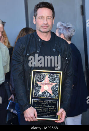 David Duchovny - Star 09 auf David Duchovny, der X-Dateien Stern, ausgezeichnet mit einem Stern auf dem Hollywood Walk of Fame in Los Angeles. 25. Januar 2016. David Duchovny - Star 09 Veranstaltung in Hollywood Leben - Kalifornien, Red Carpet Event, USA, Filmindustrie, Prominente, Fotografie, Bestof, Kunst, Kultur und Unterhaltung, Topix prominente Mode, Besten, Hollywood Leben, Event in Hollywood Leben - Kalifornien, Roter Teppich und backstage, Film Stars, TV Stars, Musik, Promis, Kunst, Kultur und Unterhaltung, vertikal, eine Person, Fotografie, Anfrage tsuni@Gamma-USA.com, Kredit Tsuni/U Stockfoto