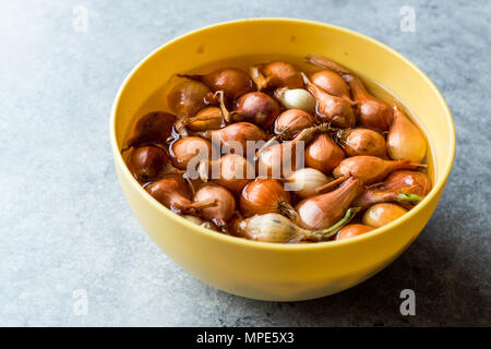 Noch immer leben Zwiebeln / Schalotten in Wasser mit Glühlampen. Ökologische Lebensmittel. Stockfoto