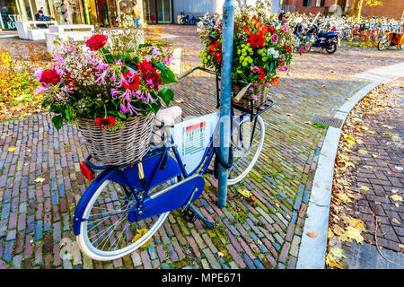 Eine typisch holländische Tradition der Blumenkunst Anzeige auf ein antikes Fahrrad im Stadtzentrum von Zwolle in den Niederlanden Stockfoto