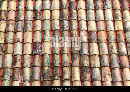 Typische rote Dachziegel und Design auf einem typischen Dach in der Alten Stadt, Dubrovnik, Kroatien. Stockfoto