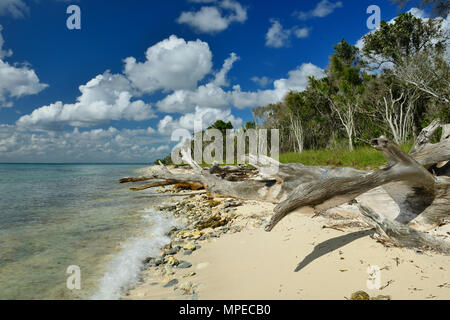 Tropischen Strand in der Karibik Stockfoto