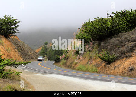 Straße im Nebel zu Half Moon Bay. Kalifornien Stockfoto