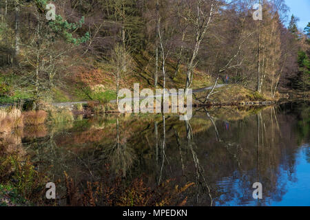 Die Gebirgsseen, Tarn Hows in der Nähe von Coniston, Nationalpark Lake District, Cumbria, England, Vereinigtes Königreich, Europa. Stockfoto