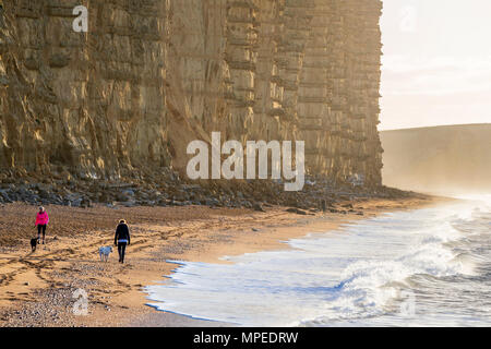 West Bay, Dorset, England, Vereinigtes Königreich, Europa. Stockfoto