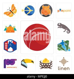Satz von 13 Einfache editierbare Symbole wie Cricket ball, Bettwäsche, Vogelnest, Toucan, 100-jähriges Jubiläum, Fußball, demokratische Partei, Chamäleon, norse werden kann Stock Vektor