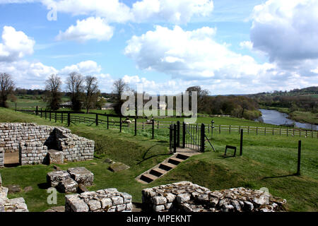 Die östliche Gateway an Chesters Roman Fort in der Nähe von Hadrian's Wall in Northumberland Stockfoto