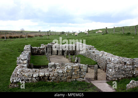 Der Tempel von Mithras am Carrawburgh in der Nähe von Hadrian's Wall Stockfoto