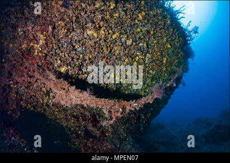 Unterwasser Szene mit einem Fischernetz im Riff in Punta Prima Tauchplatz in Ses Salines Naturpark (Formentera, Balearen, Spanien verwickelt Stockfoto