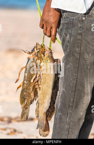 A. lokalen Fischer hält einige Thirteen Fisch in Mosambik gefangen. Stockfoto