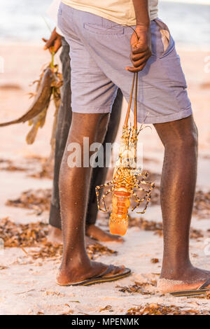 A. lokalen Fischer hält einige Thirteen Fisch in Mosambik gefangen. Stockfoto