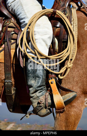 Cowboy in Sattel auf dem Pferd, mit Lasso, Western Stiefel, Sporen, Stockyards National Historic District, Fort Worth, Texas, USA Stockfoto