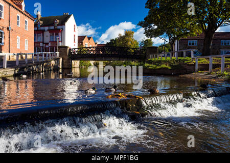 Enten auf Wehr am Fluß Leven an Stokesley, North Yorkshire, Großbritannien Stockfoto