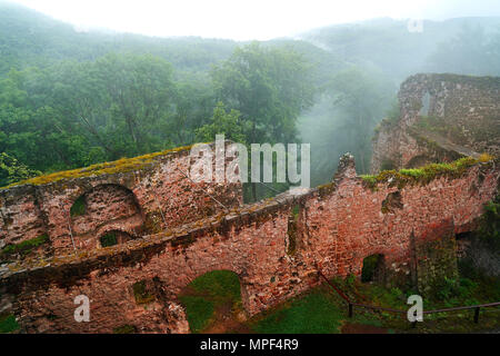 Burg Hohnstein Ruine im Harz Neustadt an Deutschland Stockfoto