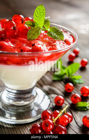Dessert Panna cotta mit frischen Johannisbeeren in einem Glas Stockfoto