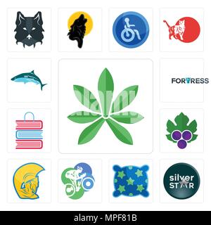 Satz von 13 Einfache editierbare Ikonen wie Pot Leaf, Silver Star, Kissen, Radfahrer, Krieger, Weinblätter, Buch Shop, Festung, kann für mobil verwendet werden. Stock Vektor