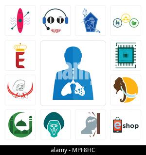 Einstellen der Entzündung, eshop, Frustration, Pavian, Masjid, Mammut, Pirat, Sem, e Krone Symbole Stock Vektor