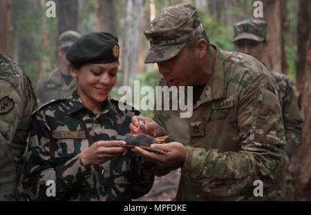 SCHOFIELD Kasernen, Hawaii - (Feb. 21, 2017) - Kapitän Rita Thapa, einem nepalesischen Soldaten, nimmt im Dschungel überleben Training mit US-Soldaten bei der 25 Infanterie Division Jungle Operations Training Center. 25 Infanterie Division eine Delegation mit weiblichen nepalesische Armee Offiziere zu Informationen, Techniken, Taktiken und Vorgehensweisen auszutauschen, um die Wirksamkeit und die Integration der Frauen in den Kampf Rollen zu fördern. (Departement für Verteidigung Foto von Petty Officer 2. Klasse Aiyana S. ÖSTERLICHEN) Stockfoto