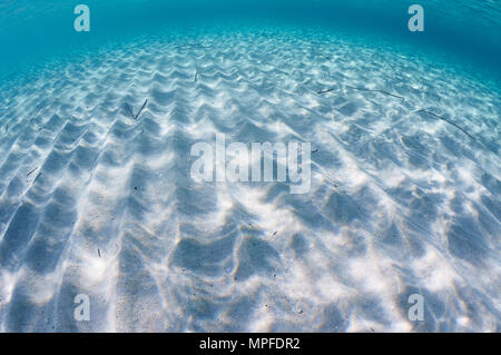 Unterwasser Marine einer endlosen sandigen Boden mit Sand Wellen und Oberfläche Reflexionen in Ses Salines Naturpark (Formentera, Balearen, Spanien) Stockfoto